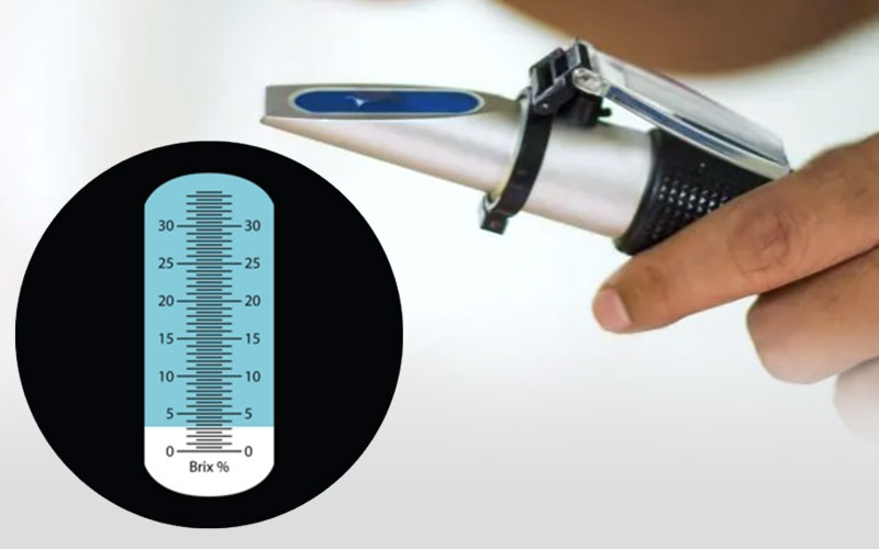 using-a-refractometer
